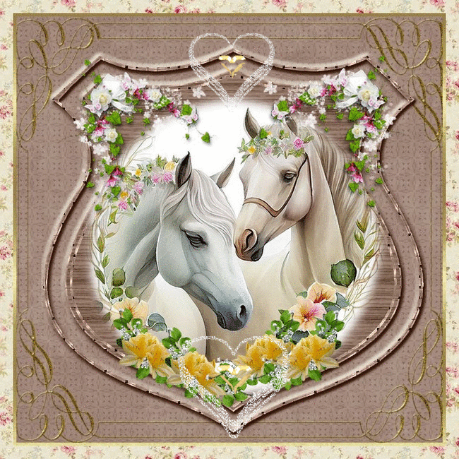 Panini France SA Un Aour de Cheval - Boite de 50 Pochettes