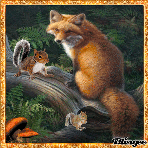 le renard et l'écureil